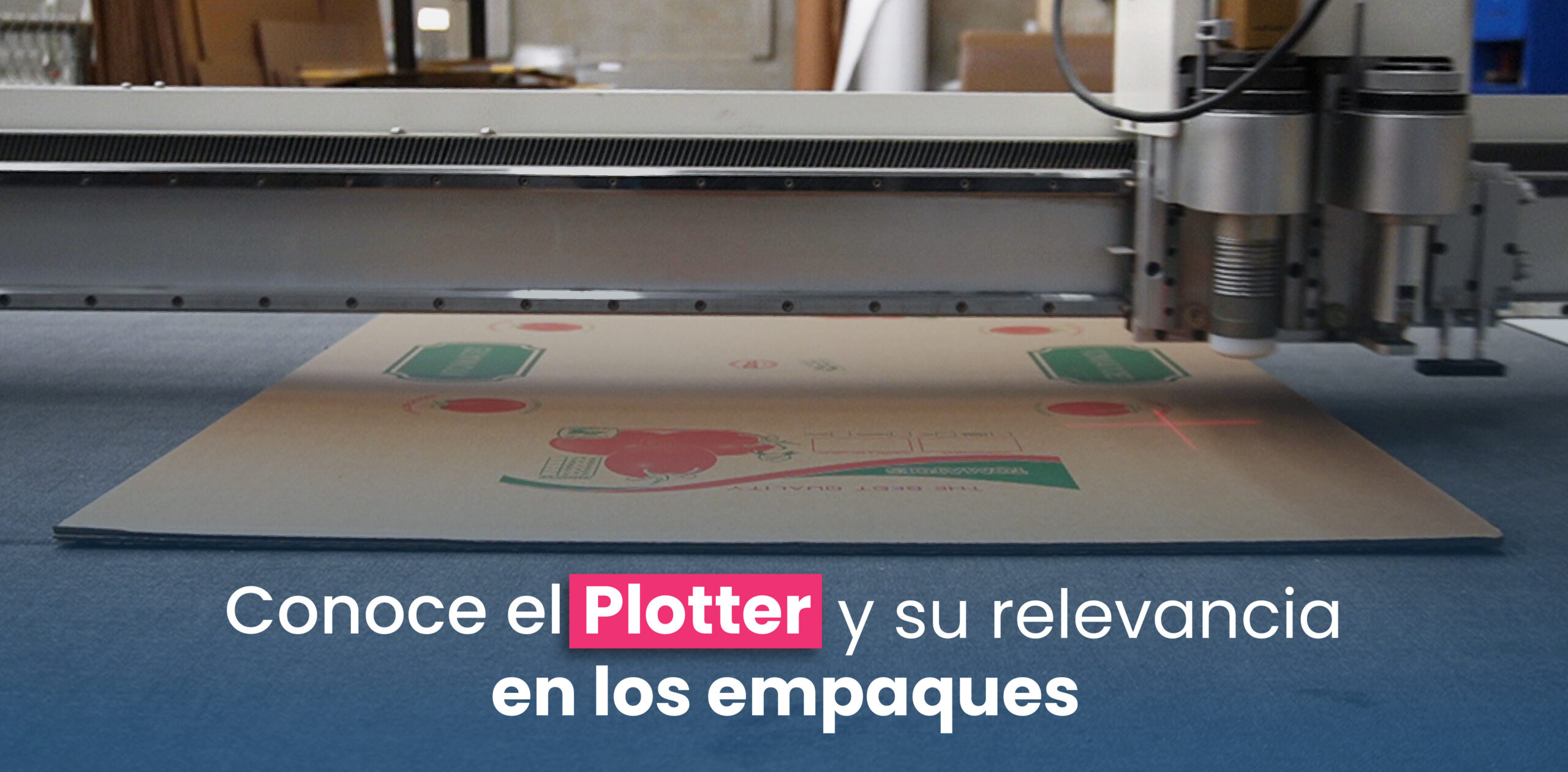 Plotter
